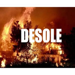 DESOLE