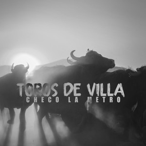 Toros De Villa (Explicit)