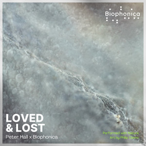 LOVED & LOST - FOREST