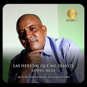 LAS HERIDAS QUE ME DEJASTE (feat. EDWIN MESA)