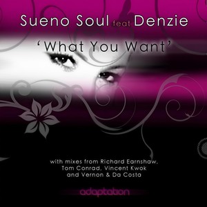 What You Want[feat. Denzie] (Original Mix)