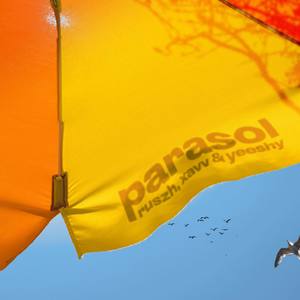 parasol