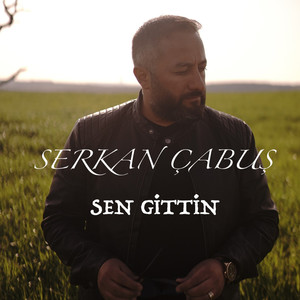 Sen Gittin