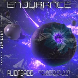 ENDURANCE (Explicit)