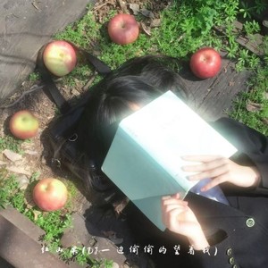 红山果（DJ一边偷偷的望着我）