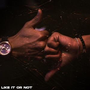 Like it or Not (Explicit)