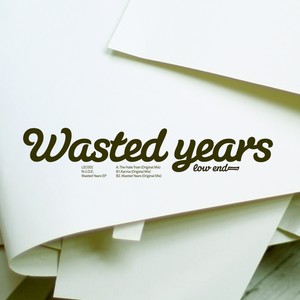 Wasted Years EP