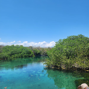 Werita Me Tienes Loco