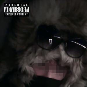 LIIAN PALJO? (Explicit)