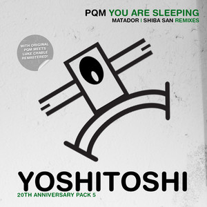 You Are Sleeping (Luke Chable meets PQM Vocal Pass)
