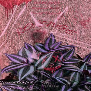 Revenge (Remix|Explicit)