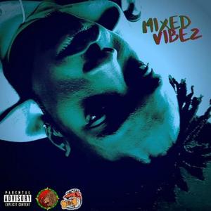 Mixed Vibez (Explicit)