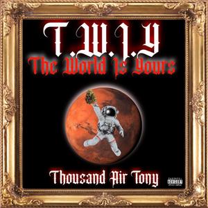 T.W.I.Y. The World Is Yours (Explicit)