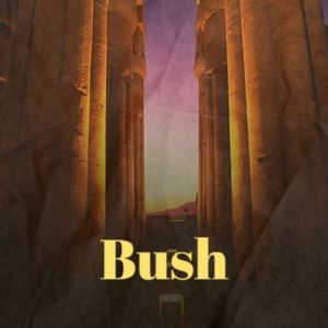 Bush