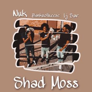 Shad Moss (feat. Nuk & LJ SAV) [Explicit]