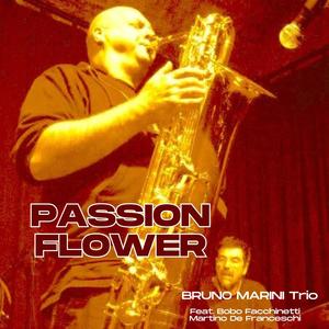 Passion flower (feat. Bobo Facchinetti & Martino De Franceschi)