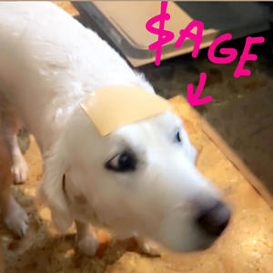 $age (feat. Tra$ki) (Explicit)