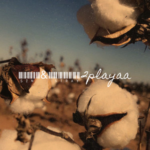 Sin & Stray (Explicit)