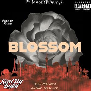 Blossom (Explicit)