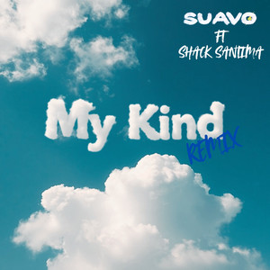 My Kind (Remix)