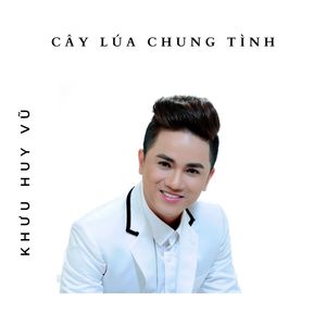 Cây Lúa Chung Tình