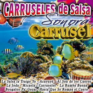 Carruseles de Salsa