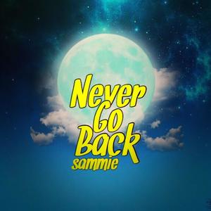 Never Go Back