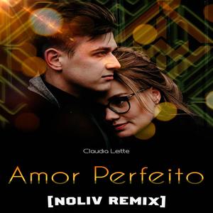 Amor Perfeito (Radio Edit)