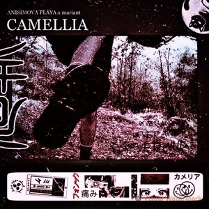 Camellia (Explicit)