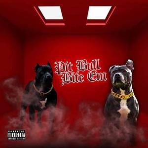 Pit Bull Bite 'Em (Radio Edit)