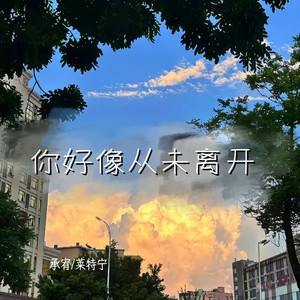 你好像从未离开