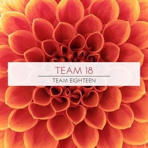 Team Eighteen