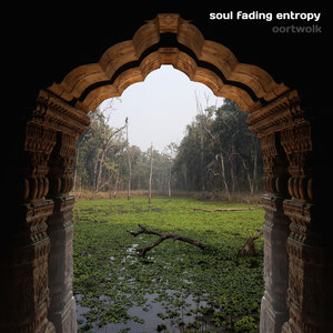 Soul Fading Entropy