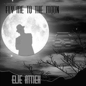 Fly Me to the Moon