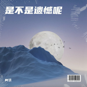 遗憾是-阿頭