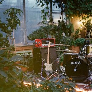 Одинокая ночь (Live)