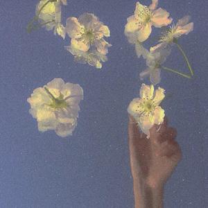 花 (Prod.BECU BEATZ)