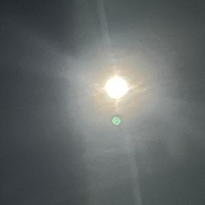 dishonest (Explicit)