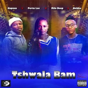 Tshwala Bam _Hip Hop Remake (feat. Pertu Lee, Kopzen RSA, Tito M, Yuppe & Neldee) (Explicit)