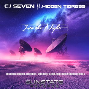 Into the Night (Eryon Stocker Remix)