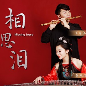 相思泪 (DJ诗意版伴奏)