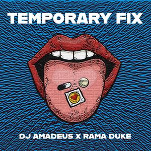 Temporary Fix (Extended Mix)