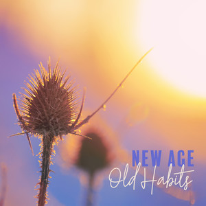 New Age - Old Habits