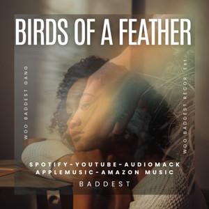 Birds of the a feather (master)