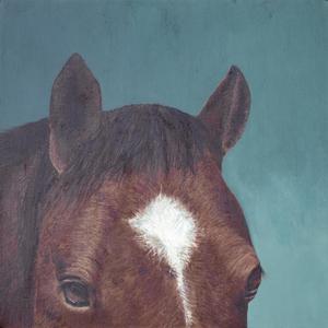 Sangre de Tarpan (feat. nn.carvalho)