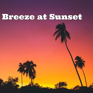 Breeze at Sunset