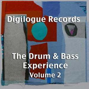 The Drum & Bass Experience, Vol. 2