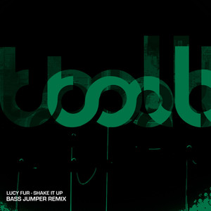 Shake It Up (Bass Jumper Extended Remix)