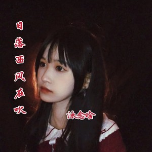 再也不会遇见第二个她