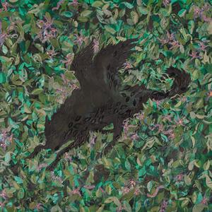 Jack Warnock - Claws